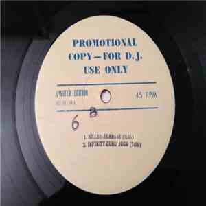Adamski, Guru Josh, Francesco Napoli, Tina Turner - Promotional DJ Copy download free