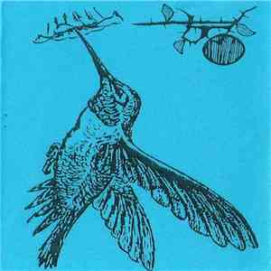 Blue Hummingbird On The Left - BloodFlower download free
