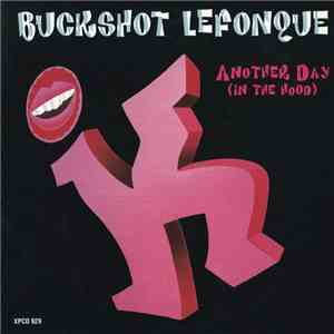 Buckshot LeFonque - Another Day download free