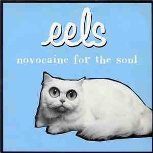 Eels - Novocaine For The Soul download free