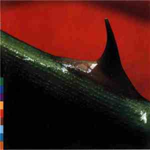 Nusrat Fateh Ali Khan & Michael Brook - Night Song download free