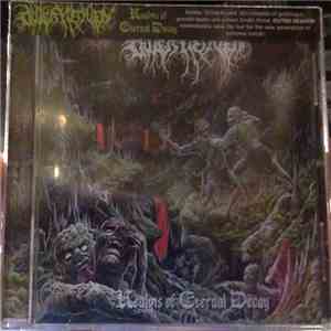 Outer Heaven  - Realms Of Eternal Decay download free