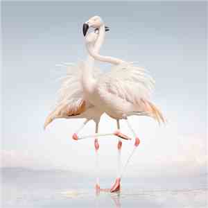 Rustie - Green Language download free