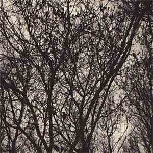 Seasons (pre-din) - Stars And Lights : Together We Fall download free