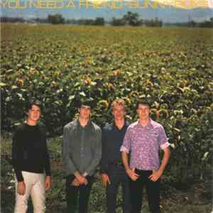 Sunnyboys - You Need A Friend download free