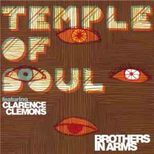 Temple Of Soul Featuring Clarence Clemons - Brothers In Arms download free