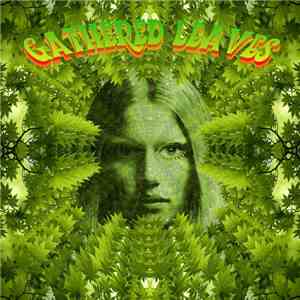 Various - Gathered Leaves (A Ptolemaic Terrascope Sampler) download free